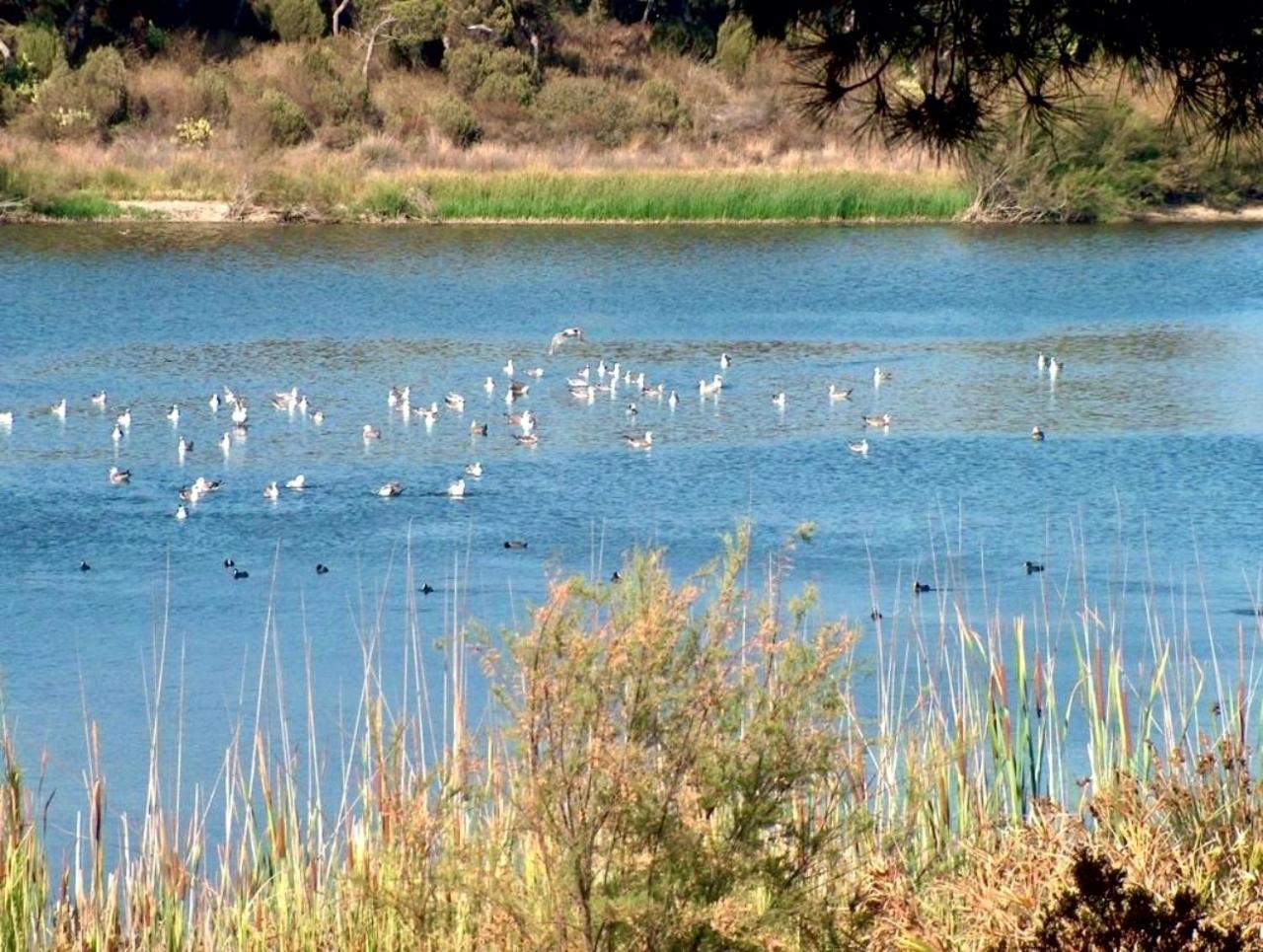 Paqo Lodge Laguna Del Portil, A 400 Metros De La Playa 外观 照片